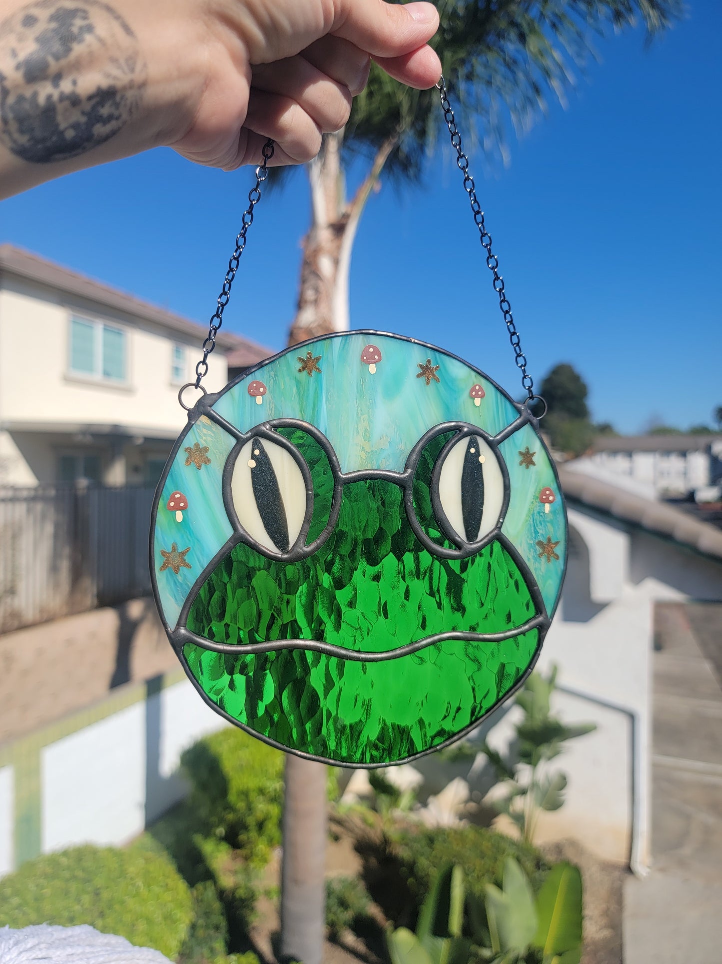 Pond.. James Pond Frog Stained Glass